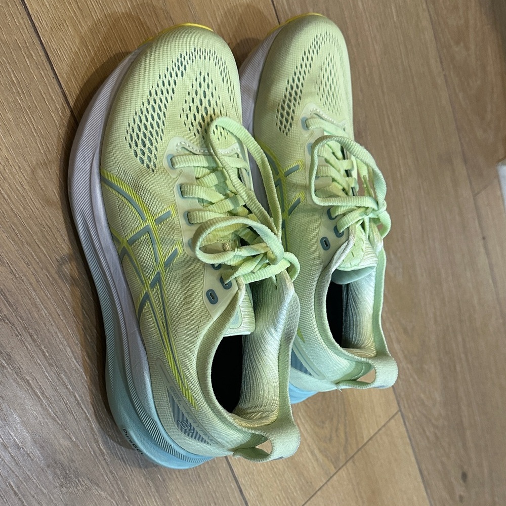 Asics Gel Kayano 31